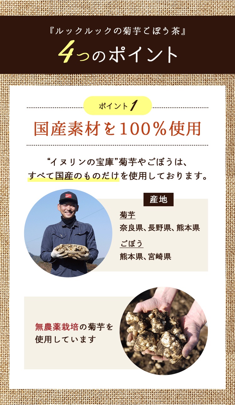 菊芋ごぼう茶4つのポイント1
