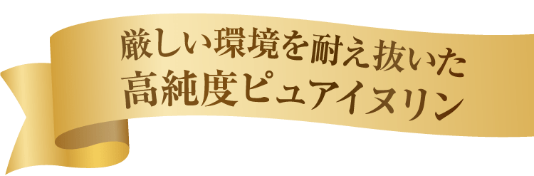 厳しい環境を耐え抜いた高純度ピュアイヌリン