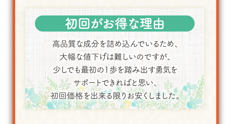 初回限定価格について