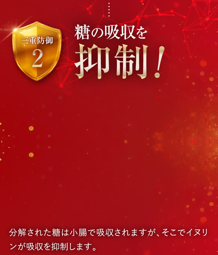 糖の吸収を抑制！