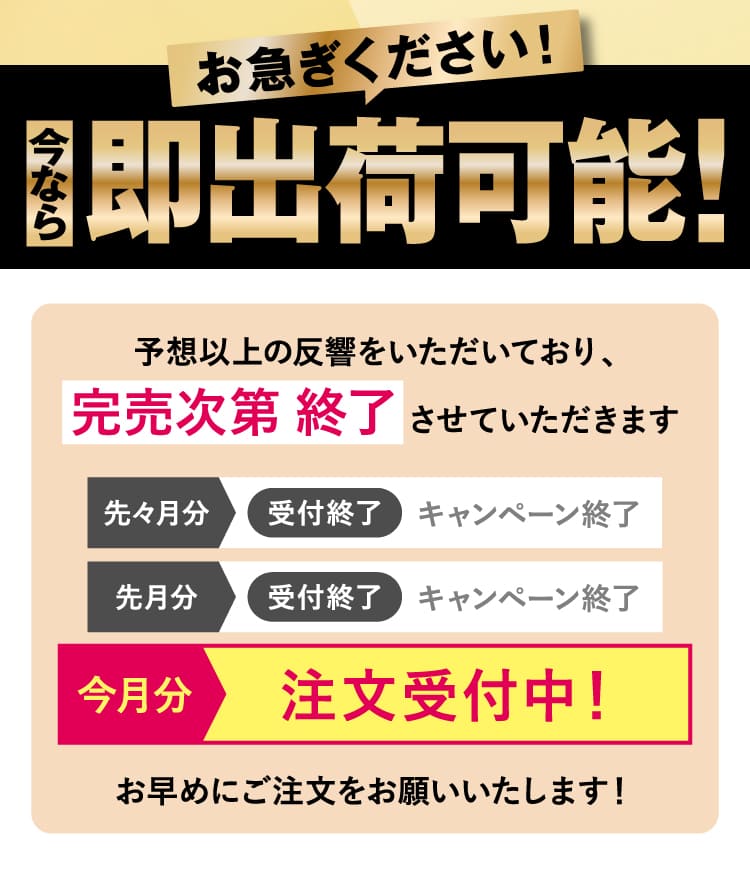 即出荷可能！