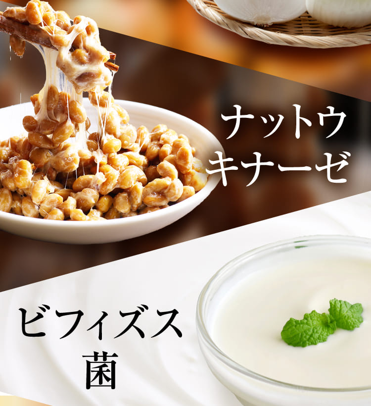 ナットウキナーゼ ビフィズス菌