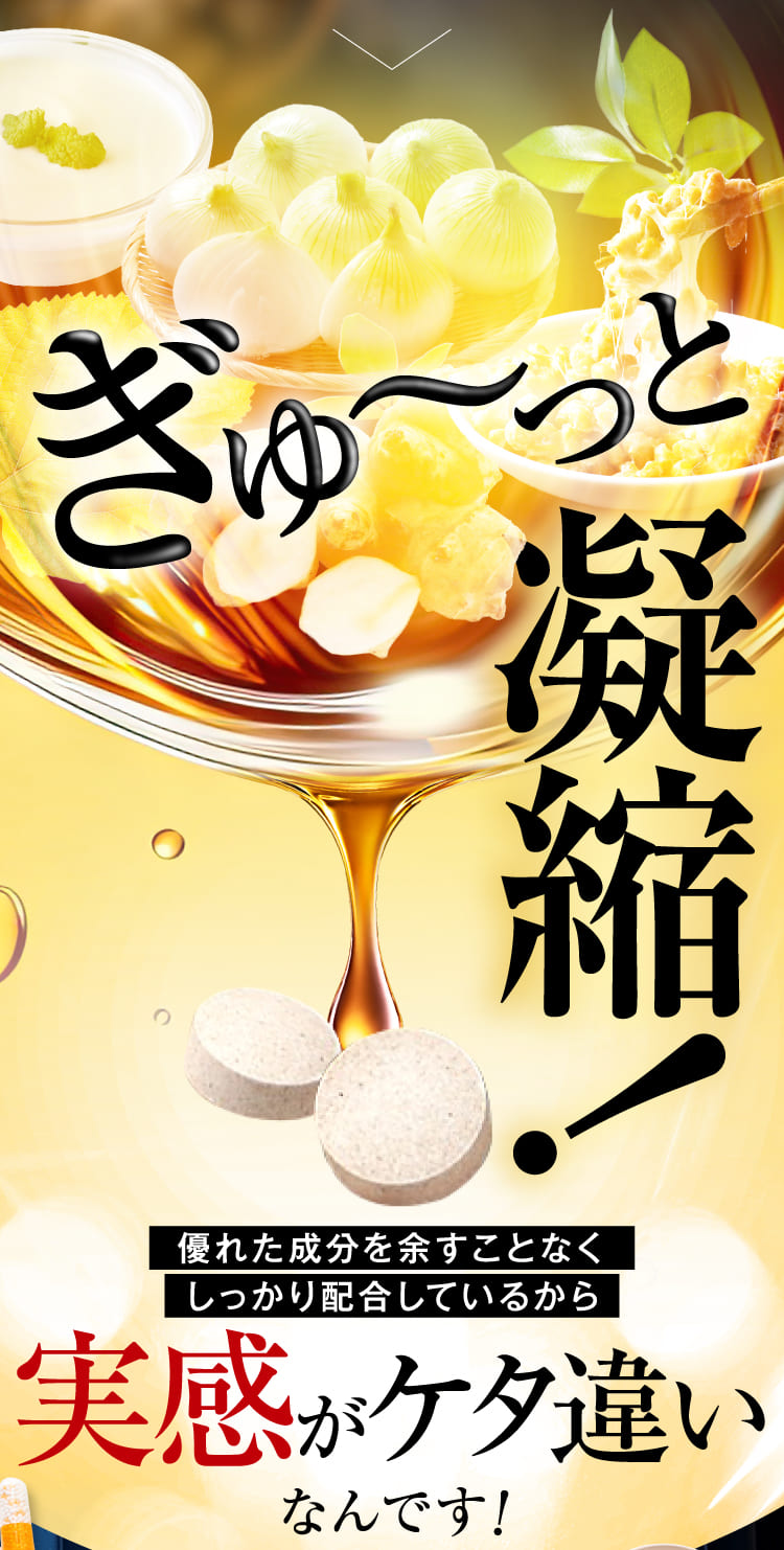 ぎゅ〜っと凝縮！