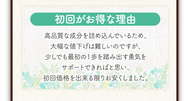 初回限定価格について