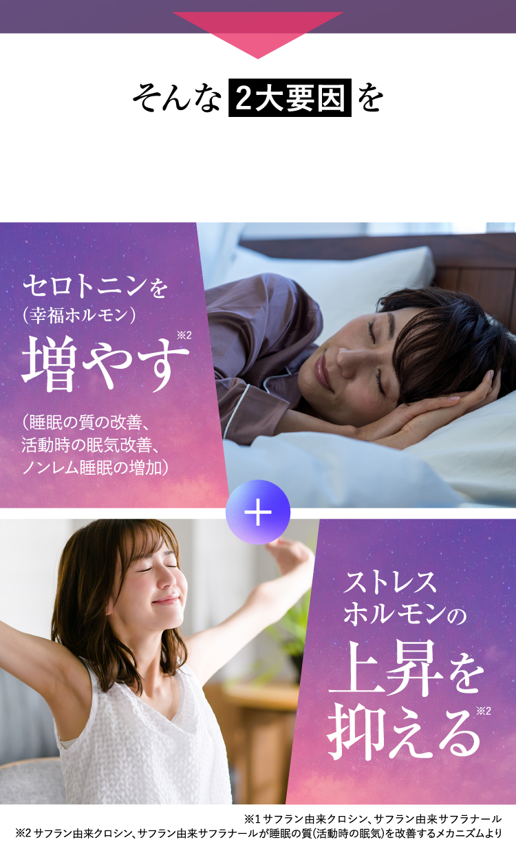 そんな2大要因を