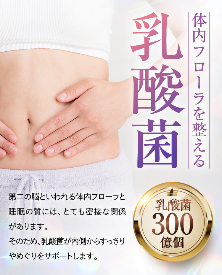 乳酸菌