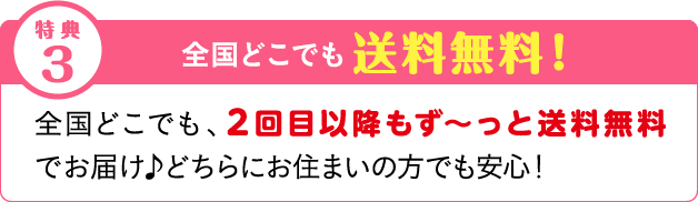 全国どこでも送料無料！